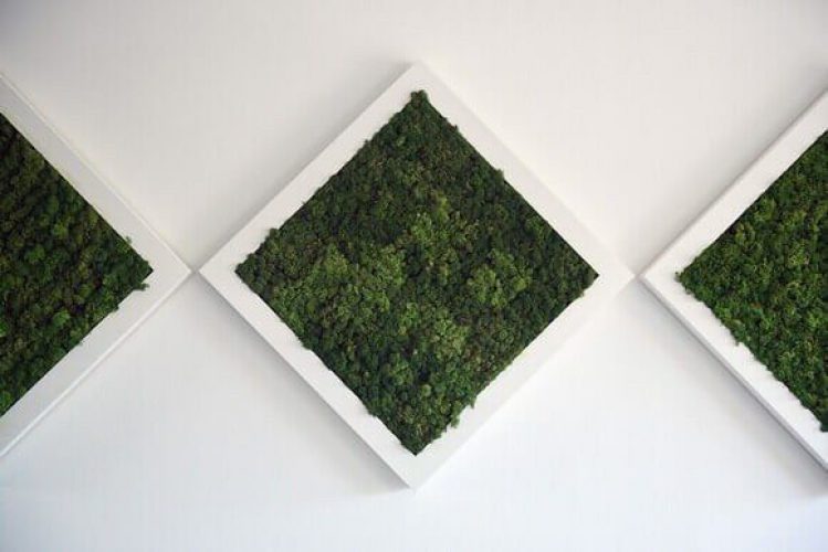 Gedetailleerde weergave van de unieke zadelzitting van de HÅG Capisco, benadrukt het ergonomische ontwerp.